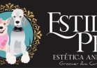 ESTILO PET