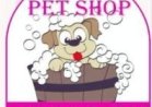 PET SHOP AMOR & PATAS