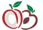 BRUNA PEREIRA BORGES - NUTRICIONISTA