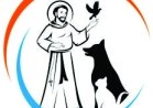 SÃO FRANCISCO CONSULTÓRIO E PET SHOP