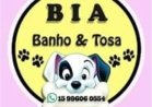 BIA BANHO E TOSA