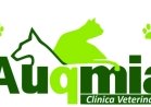 AUQMIA CLÍNICA VETERINÁRIA