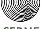 CERNE FLORESTAL