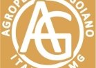 AGROPECUÁRIA GOIANO