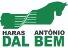 HARAS ANTÔNIO DAL BEM