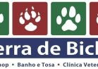 TERRA DE BICHO