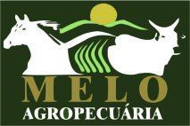AGROPECUÁRIA MELO