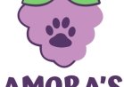 AMORA'S PET